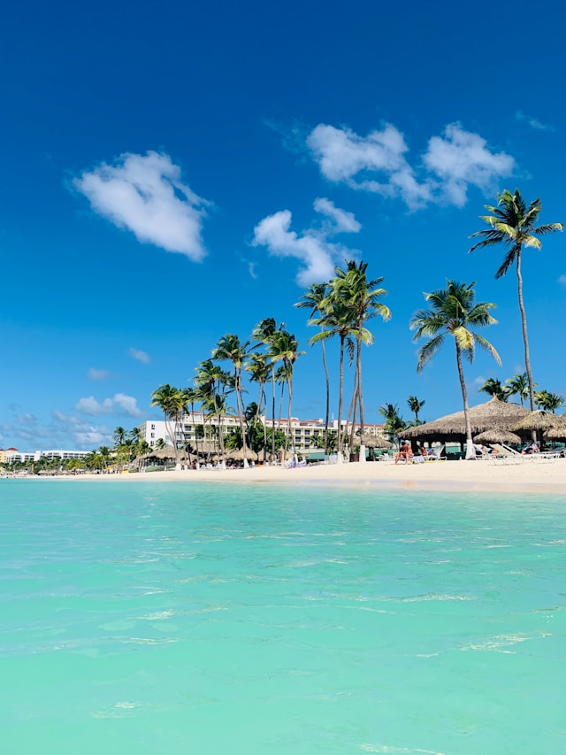 Riu Yucatan Resort Pool and Garden